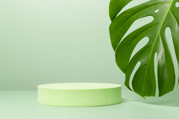 istock Green cylinder podium with monstera leaf 1400249943
