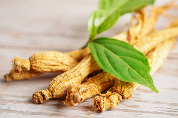 istock Ginseng roots and green leaf, healthy food. 1400250256