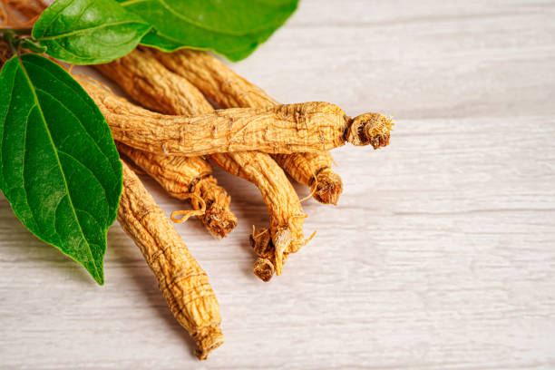 istock Ginseng roots and green leaf, healthy food. 1400252932