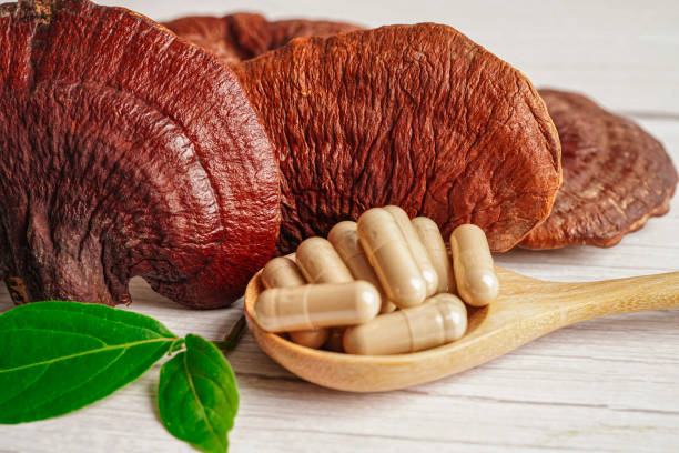 fungo lingzhi o reishi con capsule, cibo sano naturale biologico. - healthy eating red colors healthcare and medicine foto e immagini stock