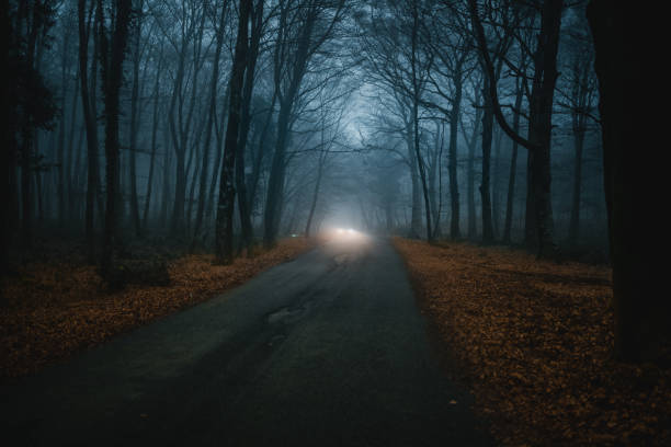 istock Mountain road with fog and foliage 1400254004