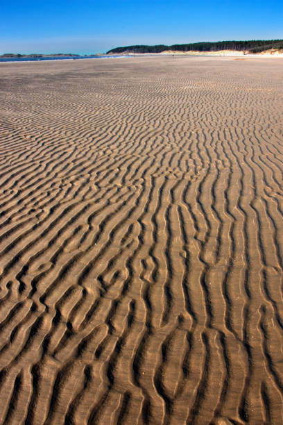 istock Newborough & Llanddwyn Bay & Island 1400254158