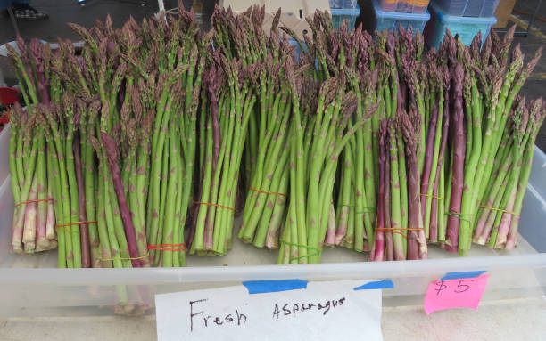 Asparagus for Sale