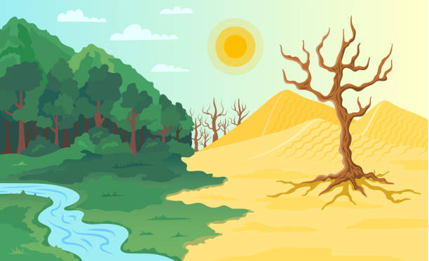 cartoon color climate change landscape scene concept. vector - 旱災 幅插畫檔、美工圖案、卡通及圖標