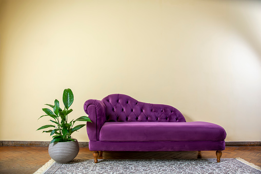 Recamier with green potted plant in retro room. Antique purple sofa in living room with rug, chaise longue.