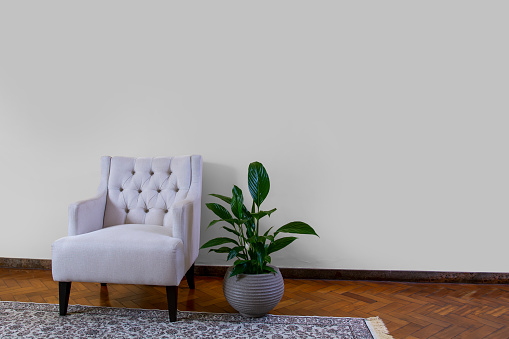 Armchair in living room with potted plant copy space in a white wall