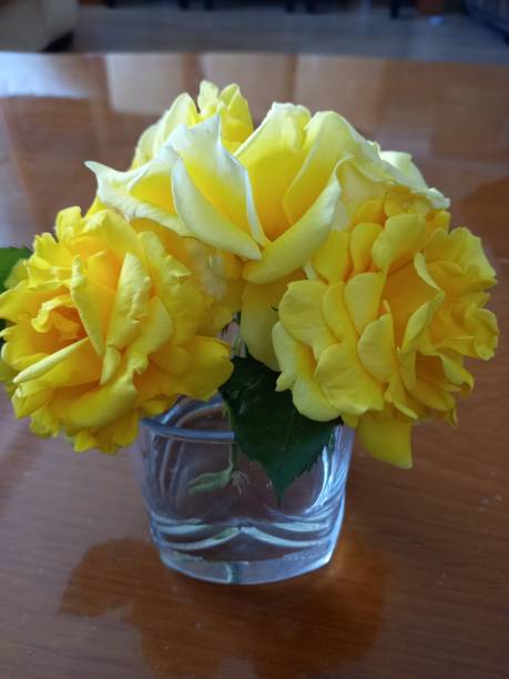 istock perfect rose flower 1400255422