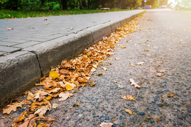 Golden dry fallen autumnal leaves covered road along edge stone Golden dry fallen autumnal leaves covered asphalt road along edge stone of city street at autumn season kerbstone stock pictures, royalty-free photos & images