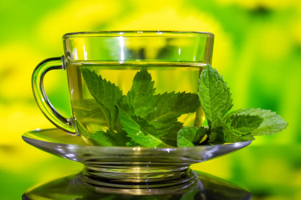 istock Cups of tea with fresh mint on green yellow background 1400256927