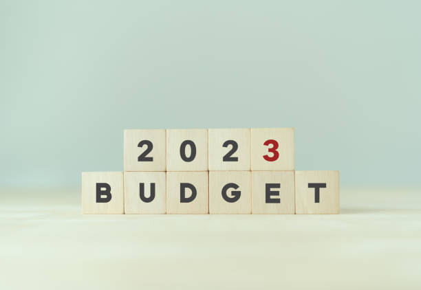 istock 2023 Budget planning and allocation concept. Wooden cube with 