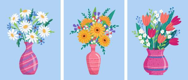 포장과 피는 식물에 꽃다발. 거베라와 카모마일, 딸기. 튤립 구성. 장식용 플로리스트 상점 품목. - bouquet tulip greeting card gerbera daisy stock illustrations