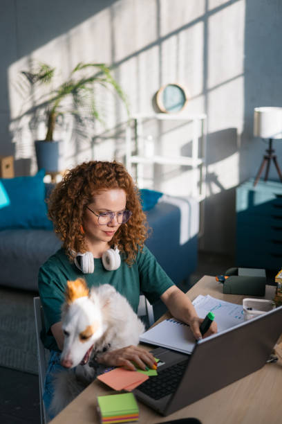 istock Adult female student studying online using a laptop 1400259915
