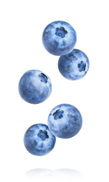 istock Blueberry berries isolated on white background 1400261483