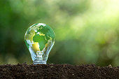 Renewable Energy.Environmental protection, renewable, sustainable energy sources. The green world map is on a light bulb that represents green energy Renewable energy that is important to the world