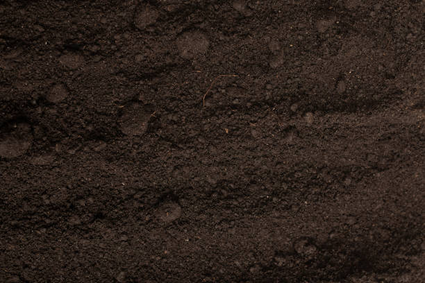 istock Black land for plant background. Top view. 1400266986