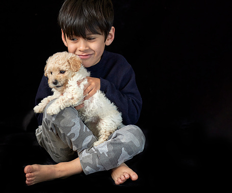 barefoot kid sitting in a studio posing with his beige poodle puppy . horizontal and copy space