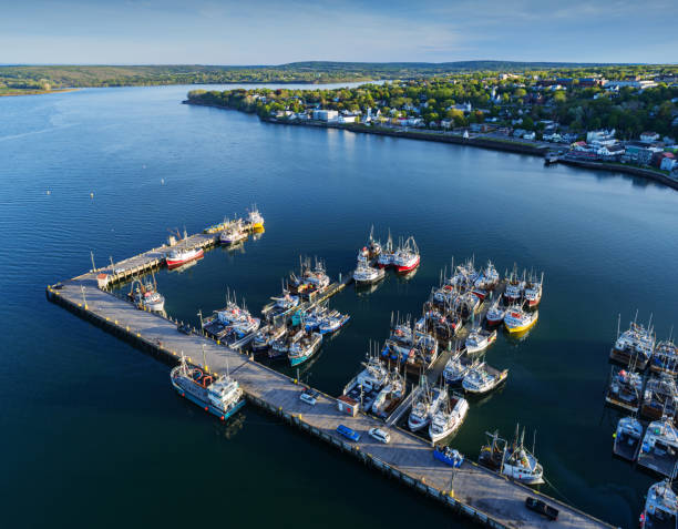 istock Scallop Fleet & Wharf 1400267827