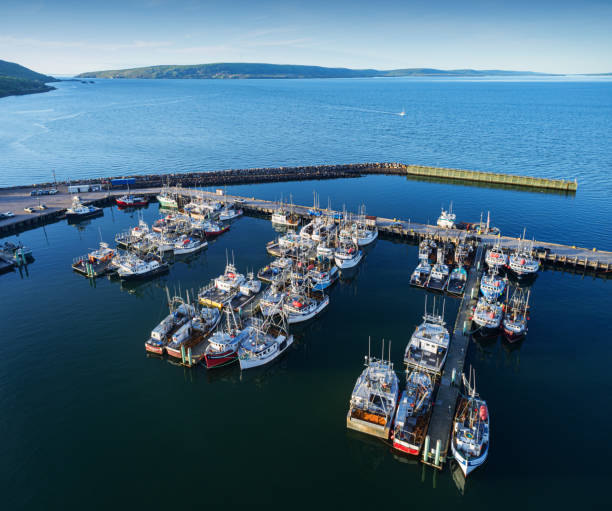 istock Scallop Fleet & Wharf 1400267834