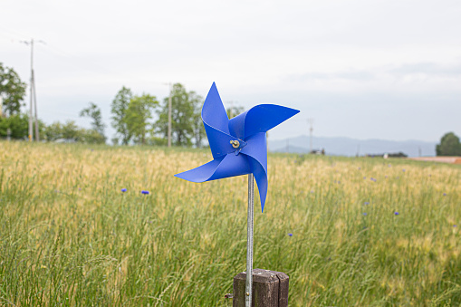 Rotating toy windmill in green grass field.