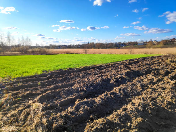istock Plowed agricultural field ready for seed sowing, planting process. Newly ploughed field with furrows, green grass. Sunny countryside landscape 1400274699