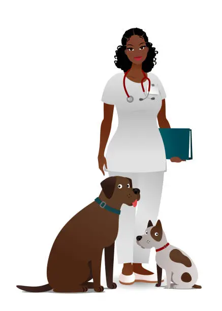 Vector illustration of Vet with dogs