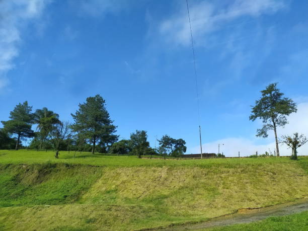 istock Brazilian landscape 1400279215