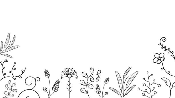 ilustrações, clipart, desenhos animados e ícones de fundo de rabisco abstrato natureza verão elementos desenhados à mão coleção botanic herbal flora folha folha torreeiras elementos vegetais vector desgin estilo - cute decoration invitation vine
