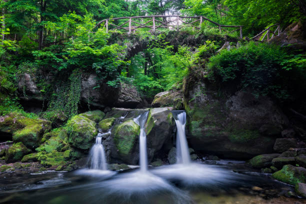 лето в люксембурге - водопад мюллерталь шиссентюмпель - woodland trail woods forest footpath стоковые фото и изображения