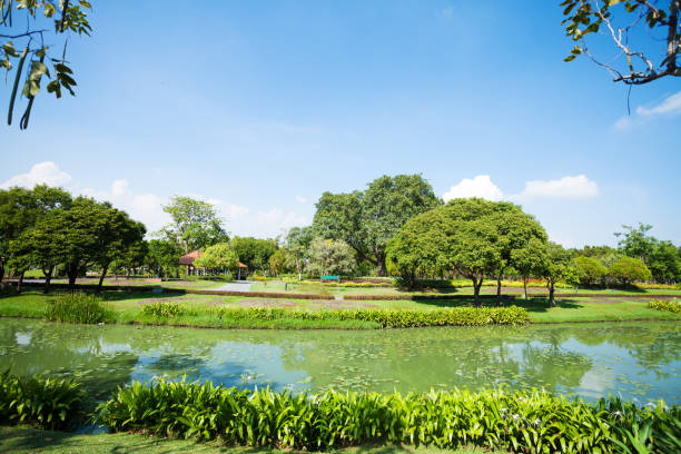 istock Reflected trees in  mere and trees in Rama 9 park in Bangkok 1400283716