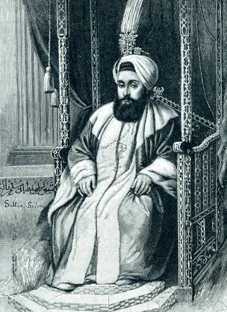 illustrations, cliparts, dessins animés et icônes de sultan de turquie sultan selim iii - sultan