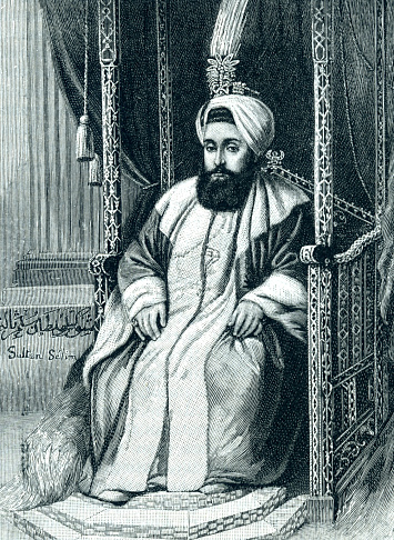 Selim III  1761 – 1808) Sultan of the Ottoman Empire from 1789 to 1807. 

Regarded as an enlightened ruler. Selim was subsequently killed by a group of assassins.

Sultan Mustafa was very influenced by mysticism. Oracles predicted his son Selim would be a world-conqueror. Selim was very well educated in the palace. 

Sultan Abdul Hamid I took care of Selim put great emphasis on his education.