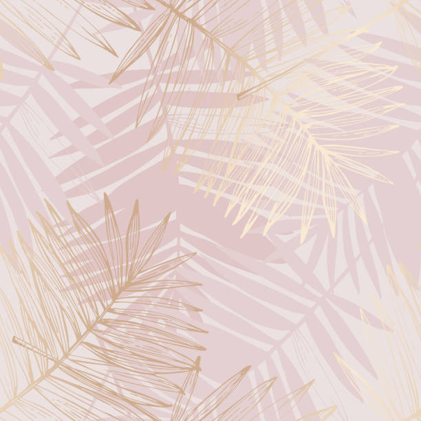 ilustraciones, imágenes clip art, dibujos animados e iconos de stock de arte abstracto de la línea de hojas de palma, silueta sobre fondo de color gris de lujo - blush