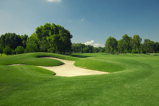 beautiful golf course with sand trap - golf course stok fotoğraflar ve resimler