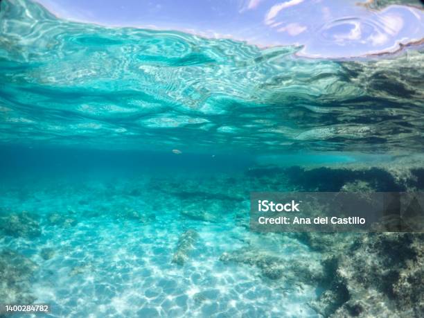 Underwater Image In Formentera Balearics Spain Stock Photo - Download Image Now - Underwater Diving, Formentera Island, Sea Life