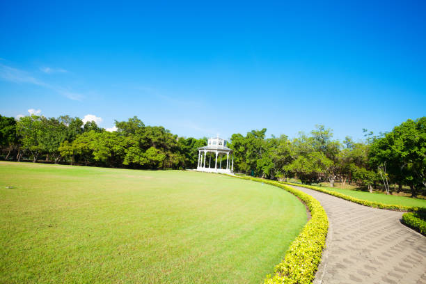 Pathway,green grass and tree in Rama 9 park in Bangkok