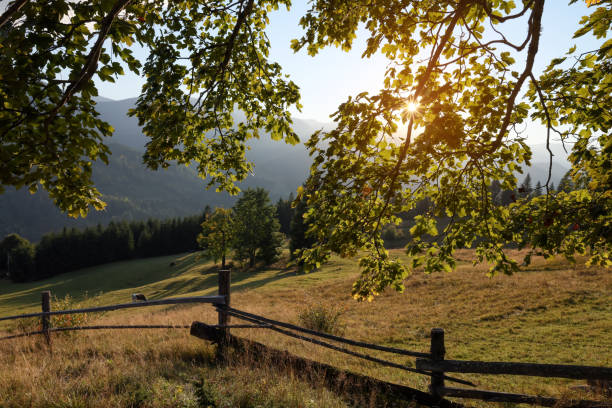 istock Morning sun shining through tree branches on pasture in mountains 1400285028