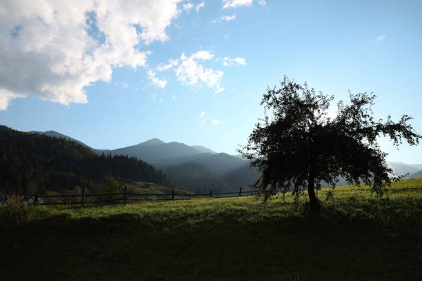 View of the landscape at Markbachjoch near Niederau. Nature and the surrounding mountains near Wildschönau in Tyrol.