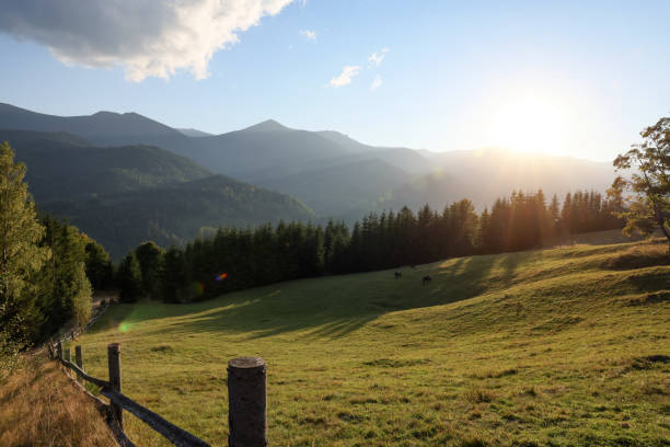 istock Morning sun shining over pasture in mountains 1400285206