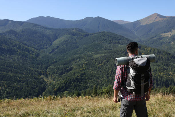 istock Tourist with backpack enjoying landscape in mountains on sunny day, back view 1400285811