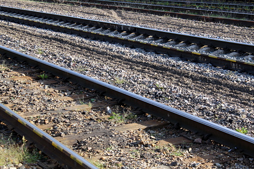 Railway tracks in summer.
