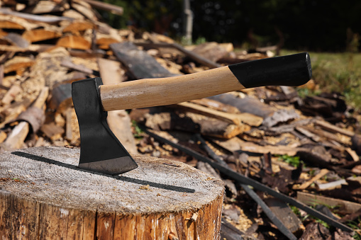 Tree stump with axe and cut firewood outdoors