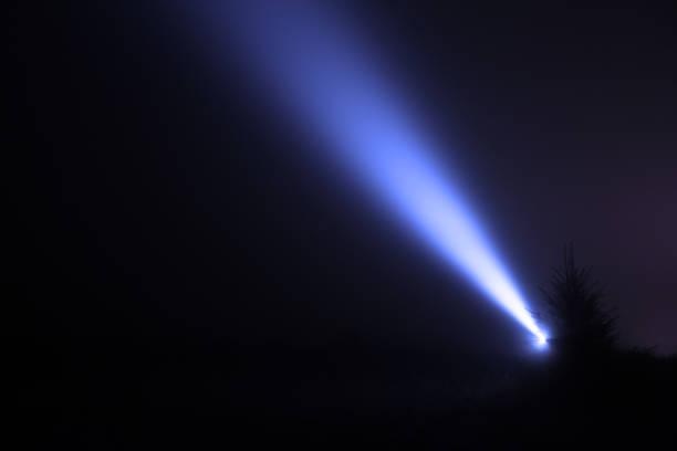 ciel nocturne éclairé par un faisceau lumineux de lampe de poche dans la forêt - faisceau de projecteur photos et images de collection