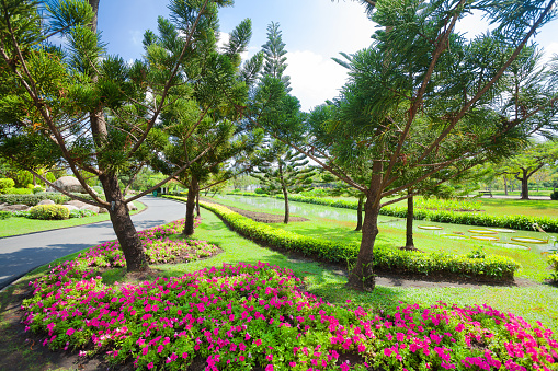 Footpath, trees and flower beds in English garden section in Rama 9 park in Bangkok