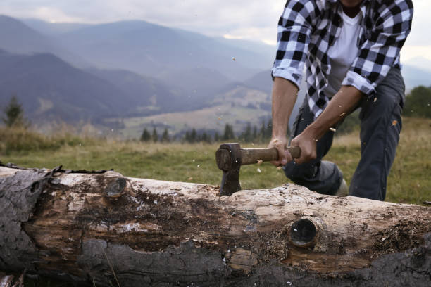 człowiek z siekierą tnący kłodę drzew w górach, zbliżenie - wood cutting chopping fireplace zdjęcia i obrazy z banku zdjęć