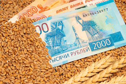 The Russian ruble against the background of wheat grains. The concept is the global food crisis, exports, imports. The issue of harvest in different countries of the world, the impact of sanctions.