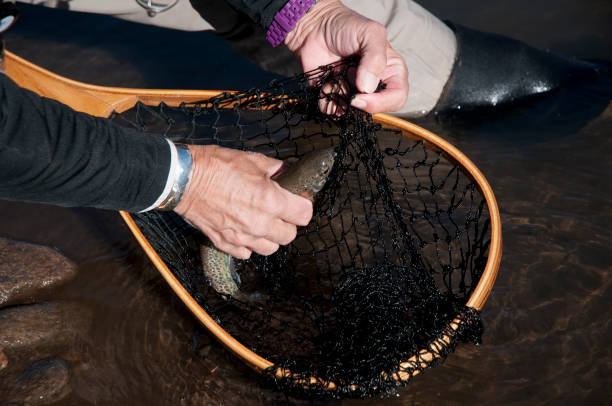 istock Senior Woman Releasing a Trout 1400298201