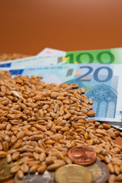 istock Euro banknotes on wheat kernel background with wheat ears - wheat cost or price concept, export, import, drought in hot countries. Bread shortage. selective focus. 1400299200