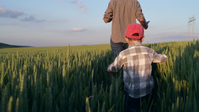 Farmer and his son walking through agriculture fields.