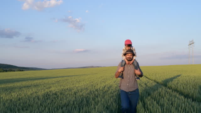 Father and son on agriculture field checking crops growth.