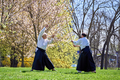 Riga, Latvia - May 8, 2022: Two aikido fighters training with stick in the public park. Blooming sakura at the background.